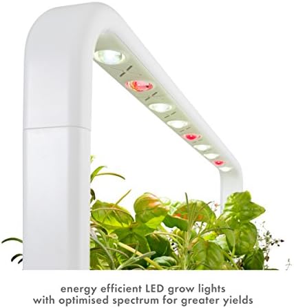 Tıklayın ve büyümek Kapalı bitki bahçe kiti ile büyümek ışık / daha kolay Hidroponik Büyüyen Sistemi / Akıllı Bahçe için Ev