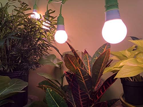 Mucize LED SmokePhonics meyve ve çiçeklenme kırmızı spektrumlu LED Büyümek ampul Yerine 150 W akkor büyümek ışık (4-Pack)
