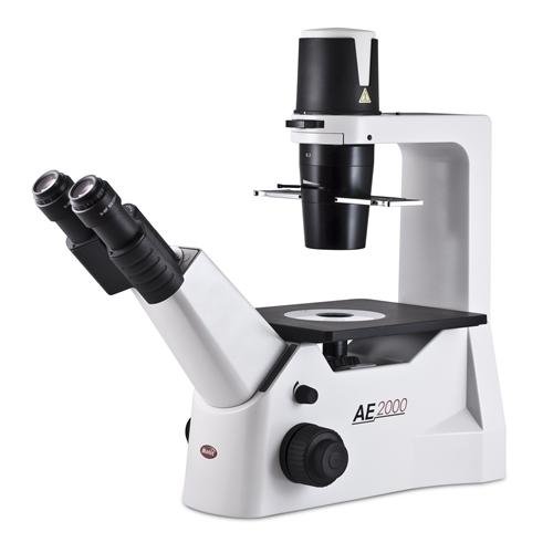 Motic 1100103800016 Ae2000 Binoküler Ters Mikroskop, 200x'e kadar