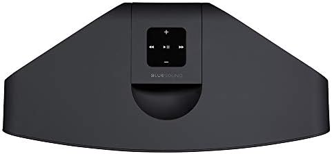 Bluetooth'lu Bluesound Pulse 2i Kablosuz Çok Odalı Akıllı Hoparlör-Siyah-Alexa ve Siri ile Uyumlu