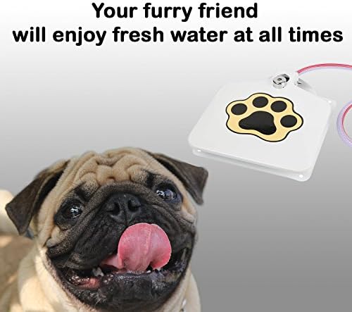 ıMounTEK Hijyenik Köpek / Pet Şofben Su Çeşmesi (41 Hortum, Evcil Hayvanınızın Durgun Su İçmesini Önler, Pençe Tasarımı, Dayanıklı