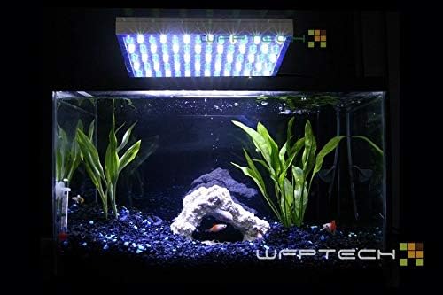 50W-beyaz mavi LED akvaryum resif mercan büyümek ışık Paneli