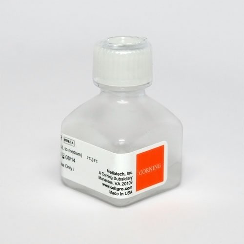 ORTAM-G418 Sülfat-Sıvı 50 mg/mL Çözelti-1 x 20 mL, EA1